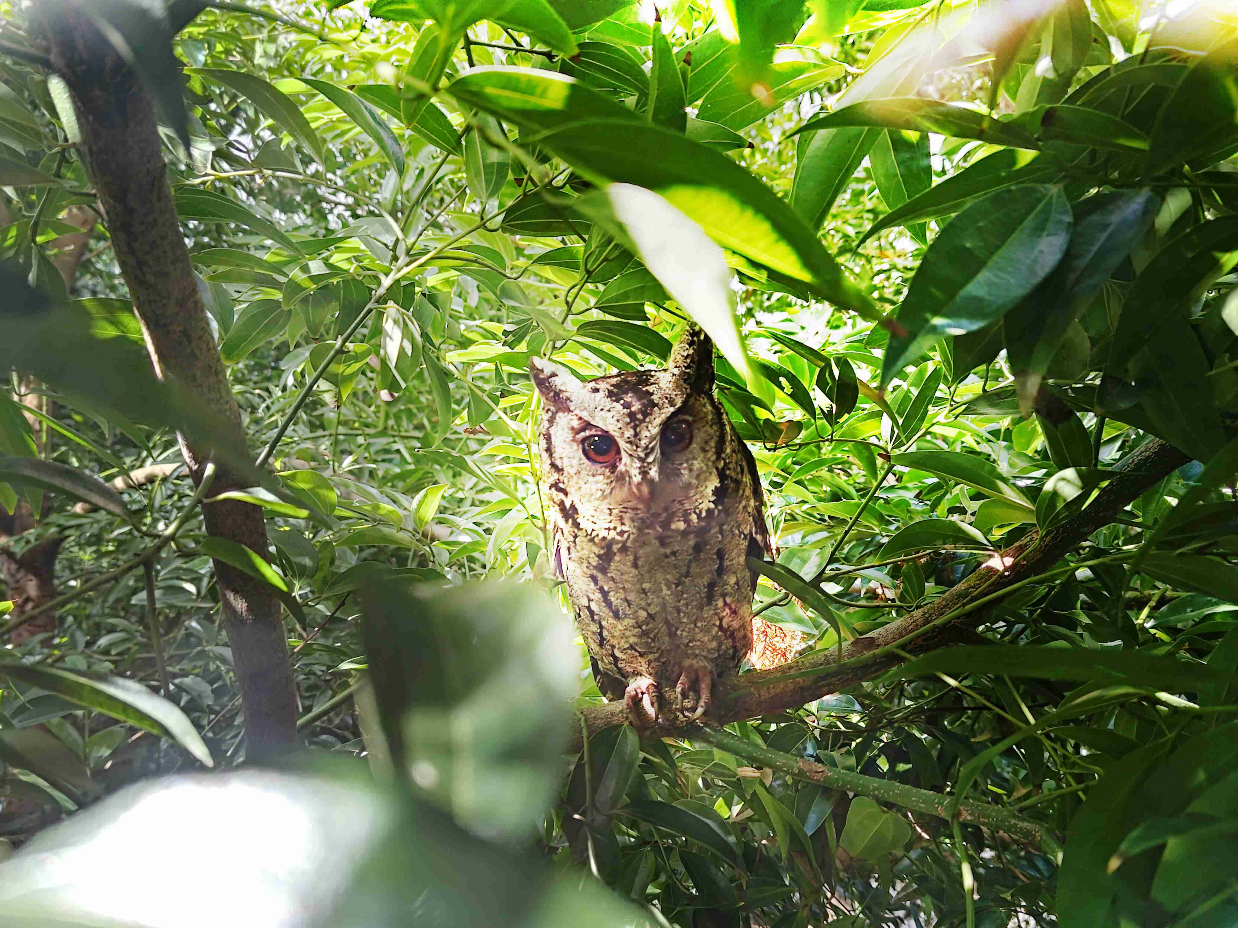 z6mg·人生就是博致力提倡净零绿生活，，，，16年以来在全球各厂区植树逾百万棵，，，，造就各厂区树木蔚然成林，，，，犹如森林工厂，，，，成为许多生物的栖息地